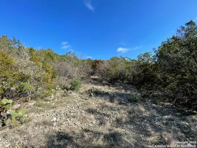 619 Winding Ravine San Antonio, TX 78258