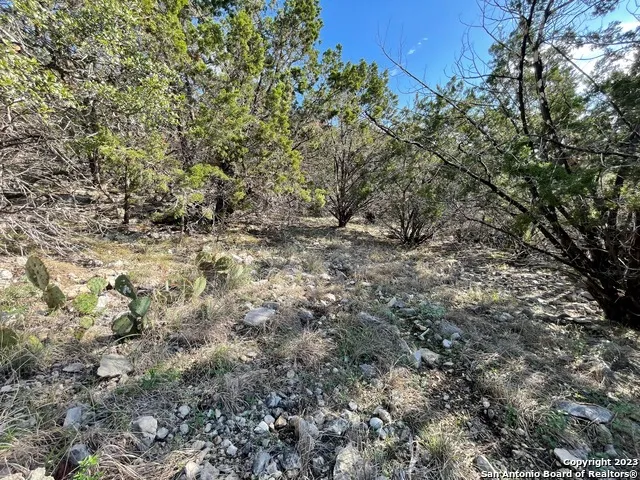 619 Winding Ravine San Antonio, TX 78258