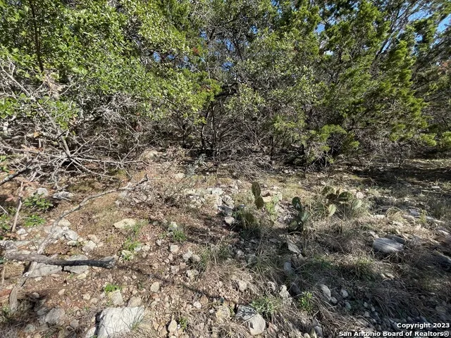 619 Winding Ravine San Antonio, TX 78258