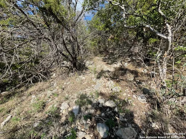 619 Winding Ravine San Antonio, TX 78258