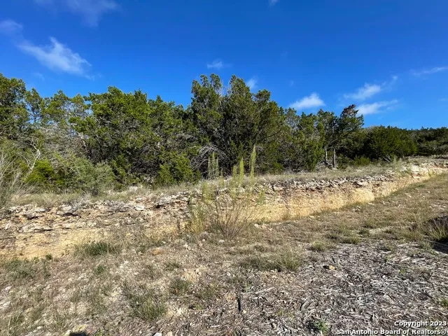619 Winding Ravine San Antonio, TX 78258