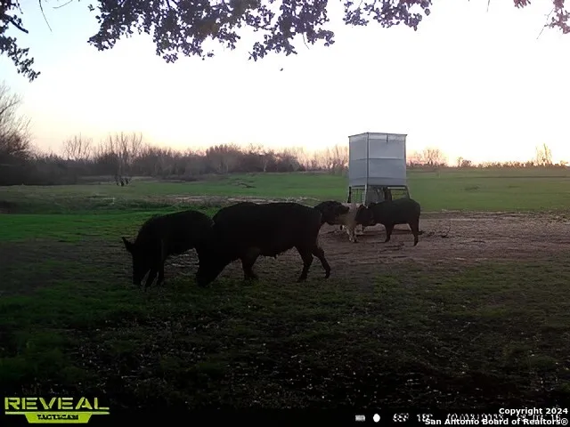 7507 New Sulphur Springs San Antonio, TX 78263
