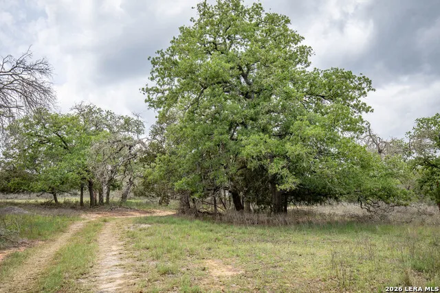 132 Roemer Ln W Floresville, TX 78114