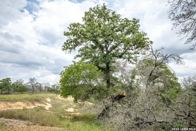 132 Roemer Ln W Floresville, TX 78114