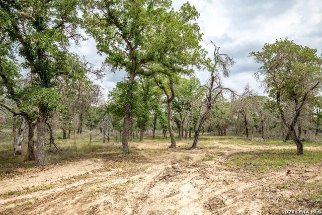 132 Roemer Ln W Floresville, TX 78114