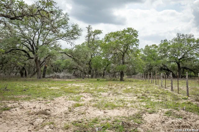 132 Roemer Ln W Floresville, TX 78114