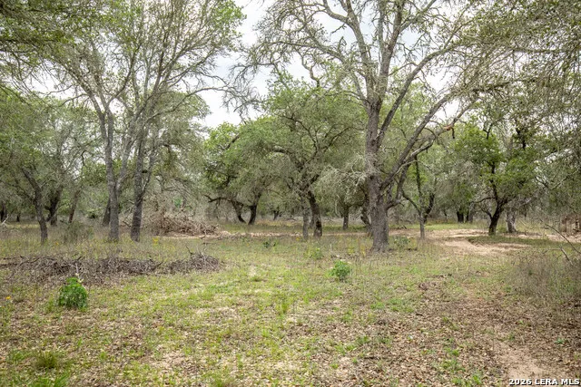 132 Roemer Ln W Floresville, TX 78114