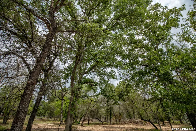 132 Roemer Ln W Floresville, TX 78114