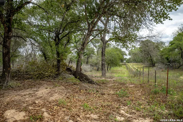 132 Roemer Ln W Floresville, TX 78114