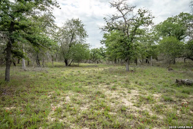132 Roemer Ln W Floresville, TX 78114