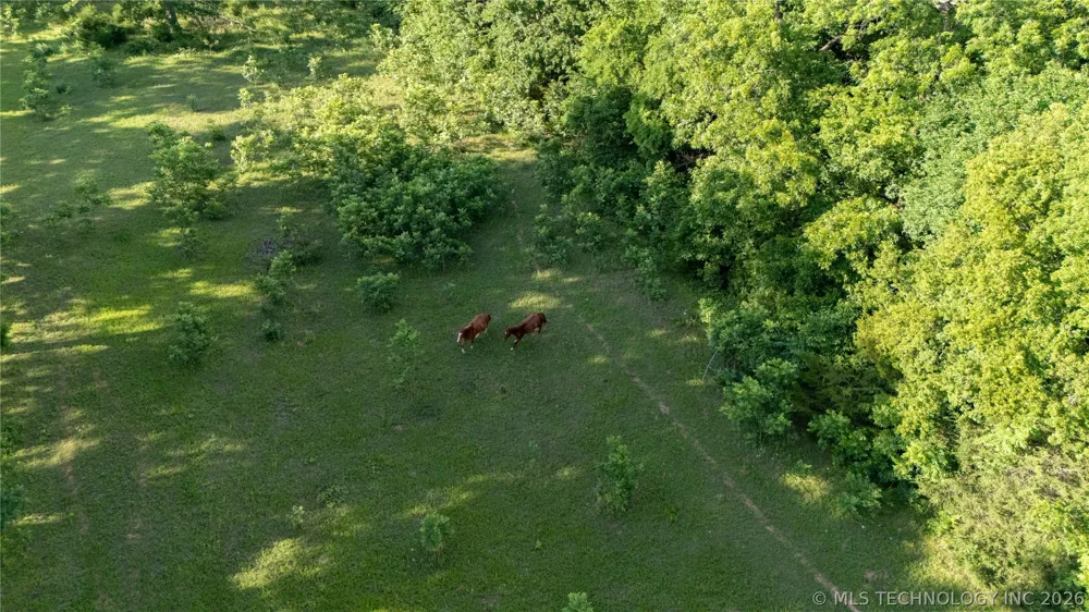 38956 Highway 39 Asher, OK 74826