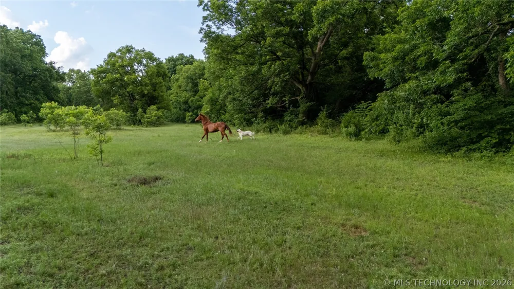 38956 Highway 39 Asher, OK 74826