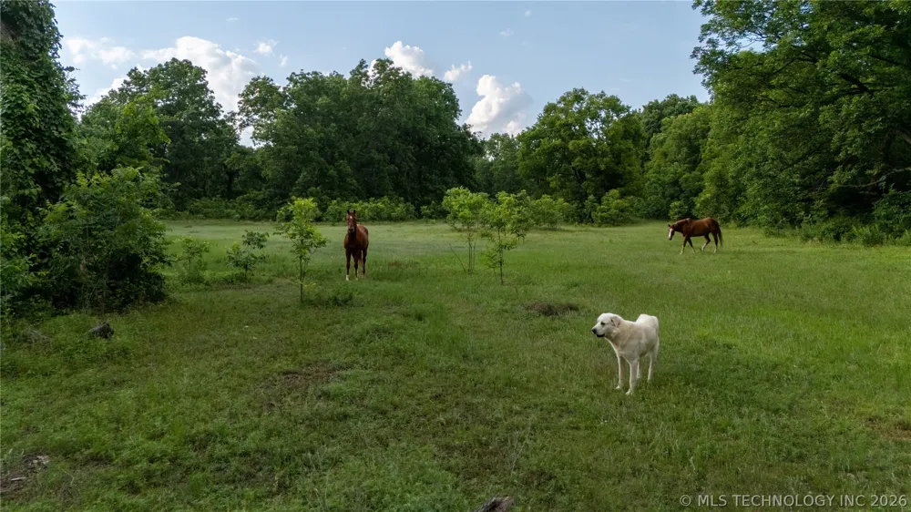 38956 Highway 39 Asher, OK 74826
