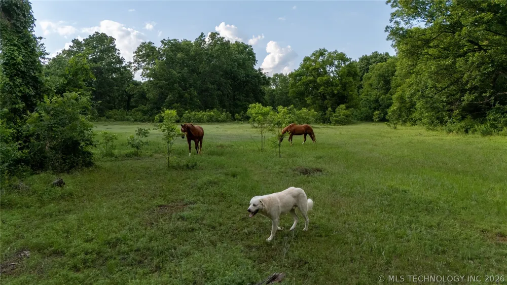 38956 Highway 39 Asher, OK 74826