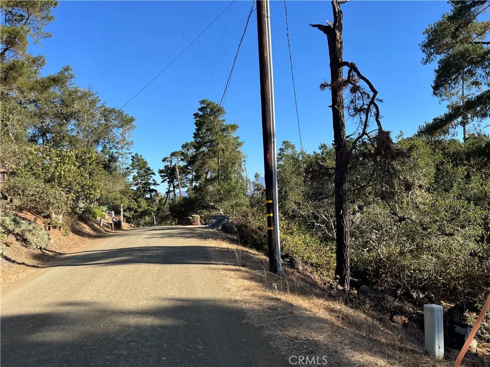 Bradford Cambria, CA 93428