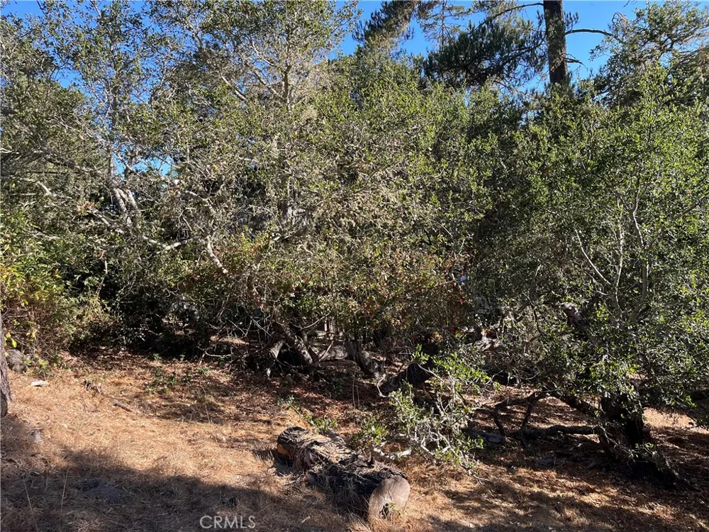 Bradford Cambria, CA 93428