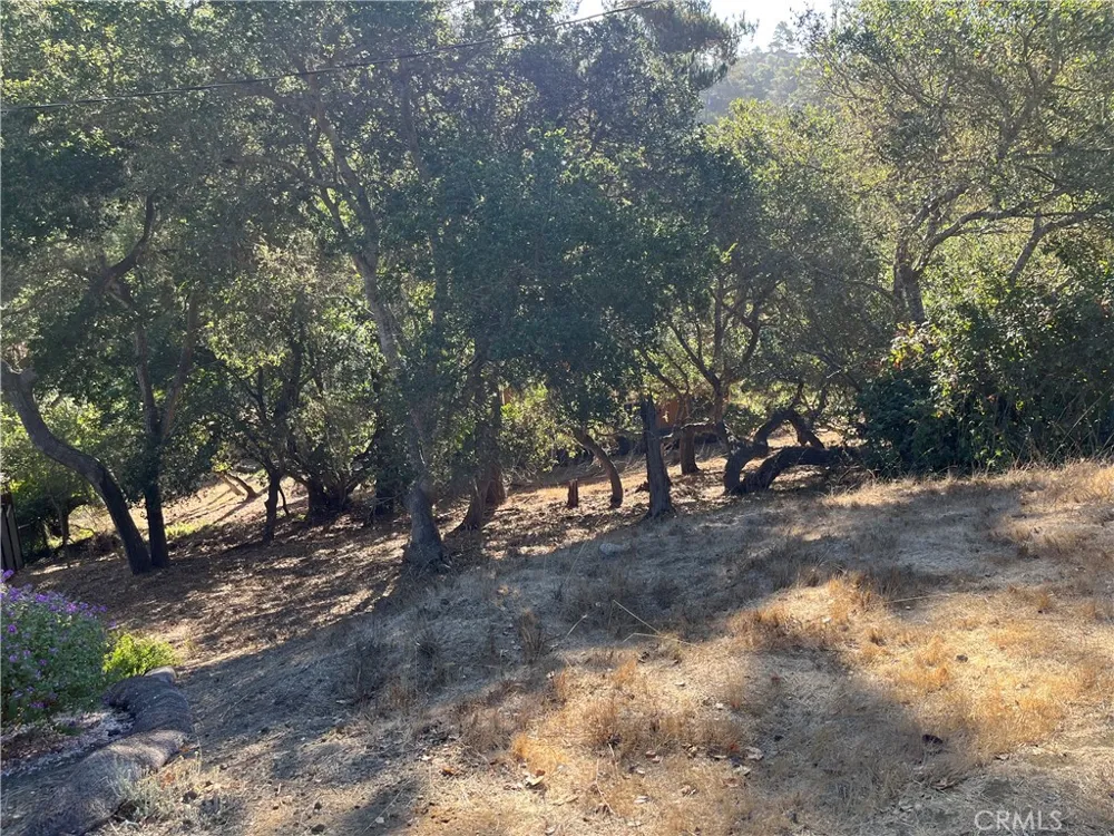 Bradford Cambria, CA 93428