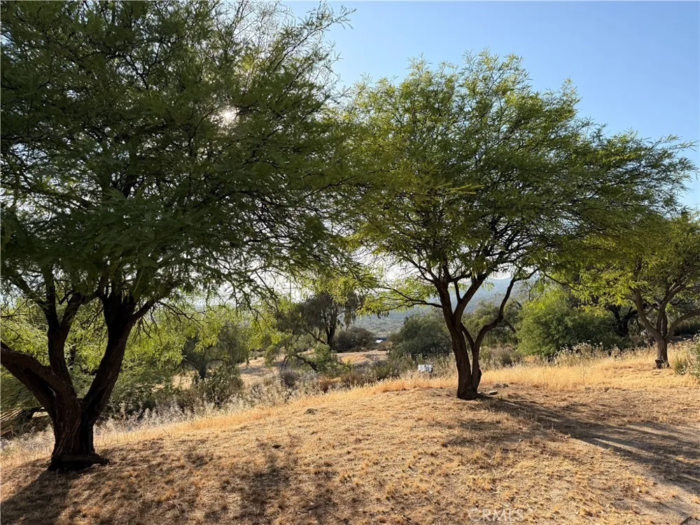 38729 Highway 79 Warner Springs, CA 92086