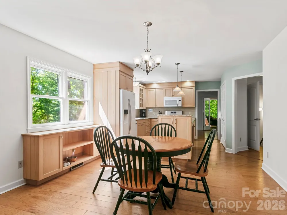 160 Little Mine Mountain Drive Saluda, NC 28773