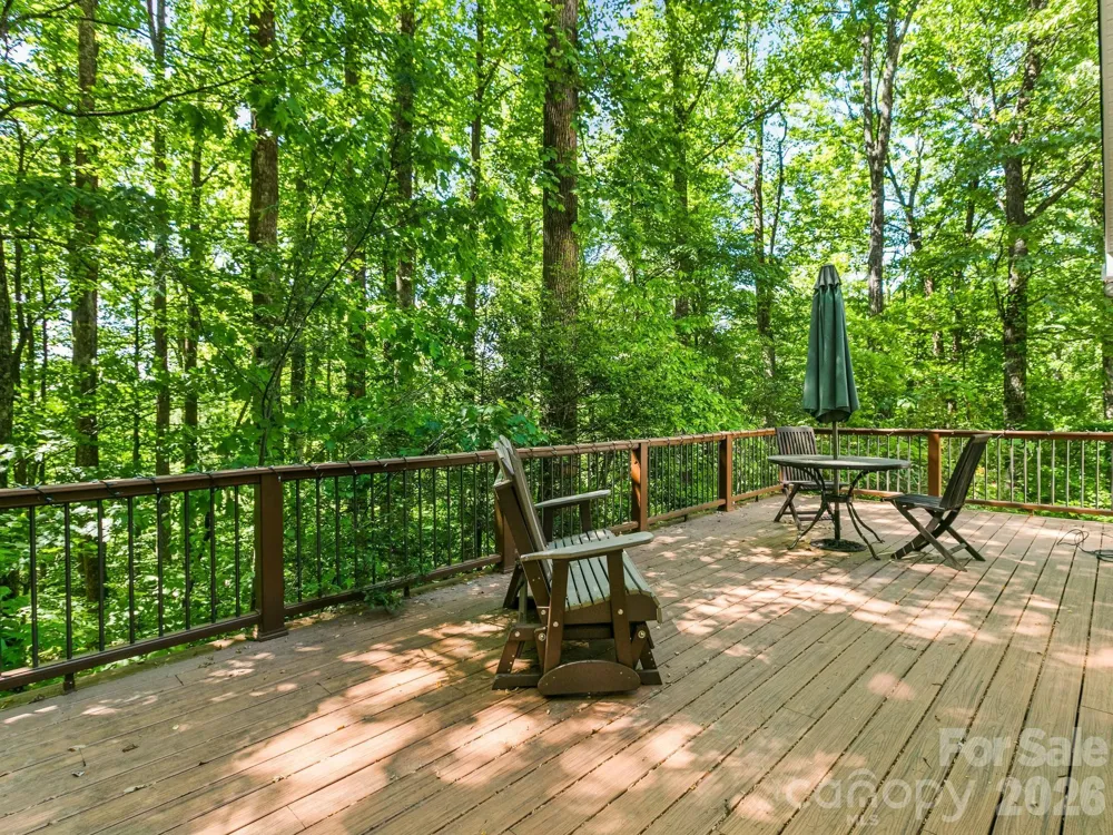 160 Little Mine Mountain Drive Saluda, NC 28773