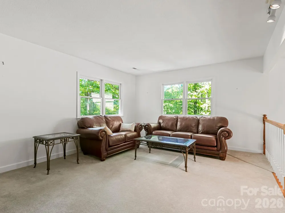 160 Little Mine Mountain Drive Saluda, NC 28773