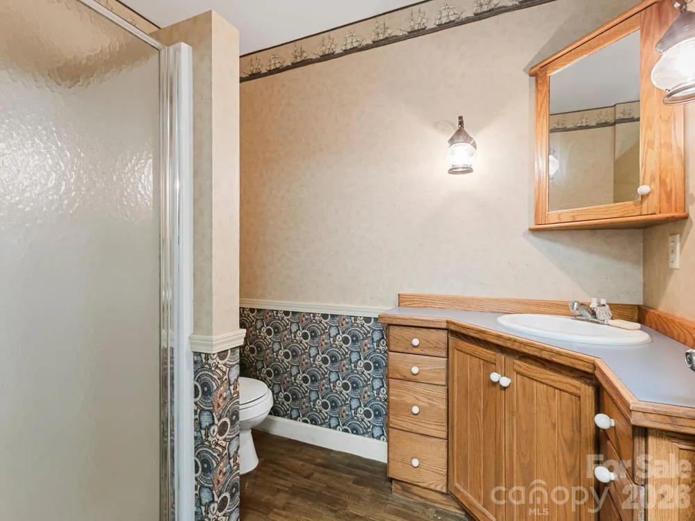 160 Little Mine Mountain Drive Saluda, NC 28773