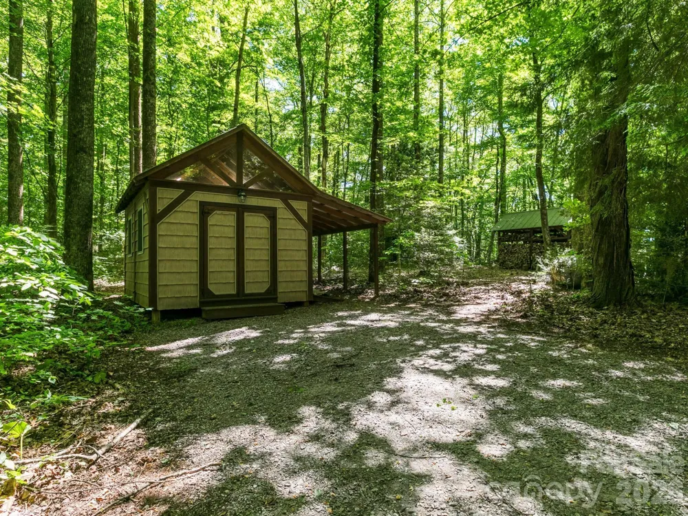 160 Little Mine Mountain Drive Saluda, NC 28773