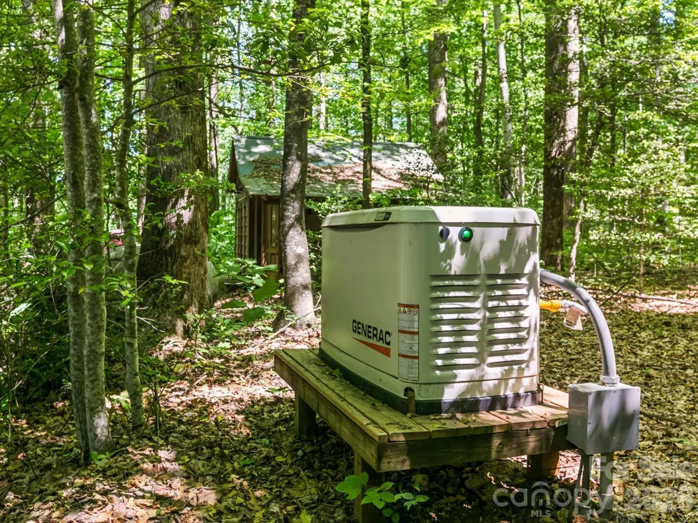 160 Little Mine Mountain Drive Saluda, NC 28773