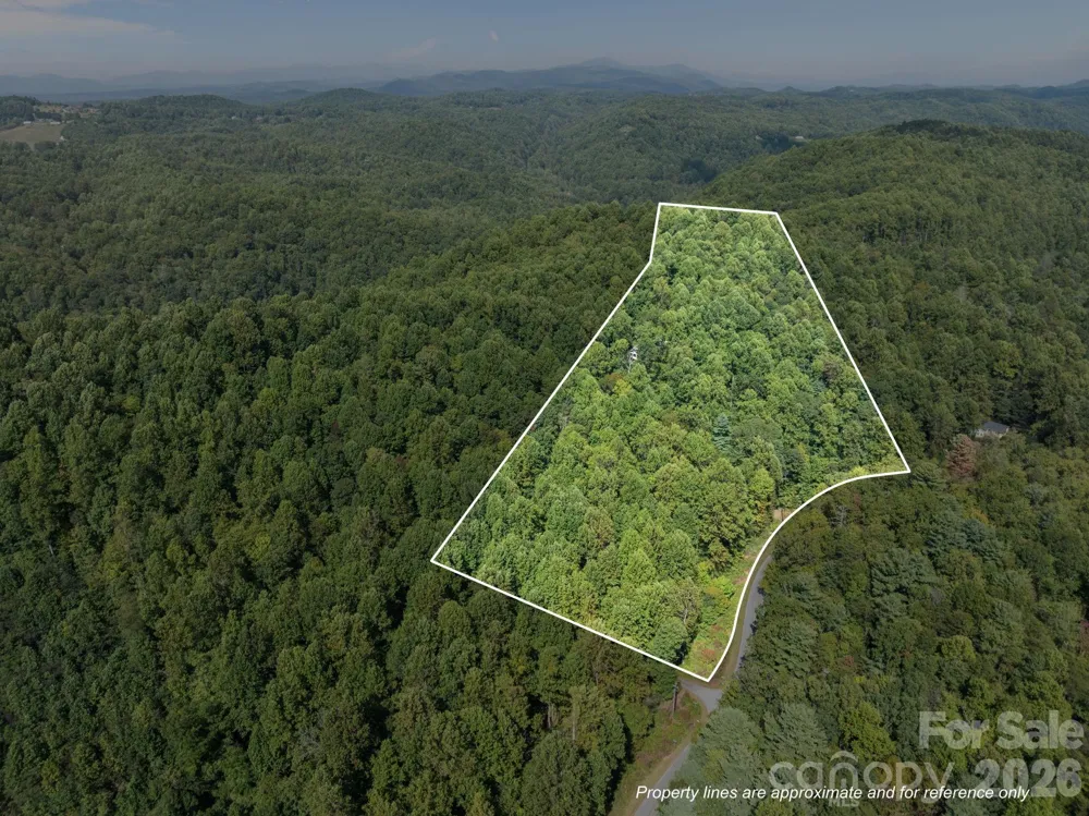 160 Little Mine Mountain Drive Saluda, NC 28773
