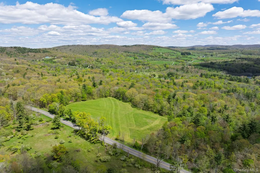 0 County Route 21 Hillsdale, NY 12529