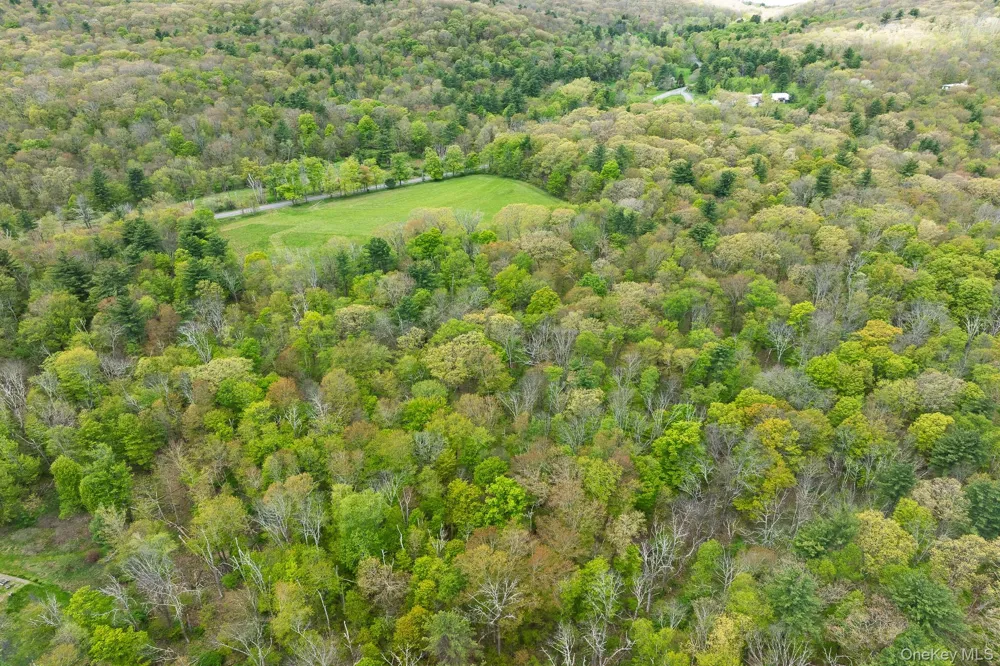 0 County Route 21 Hillsdale, NY 12529