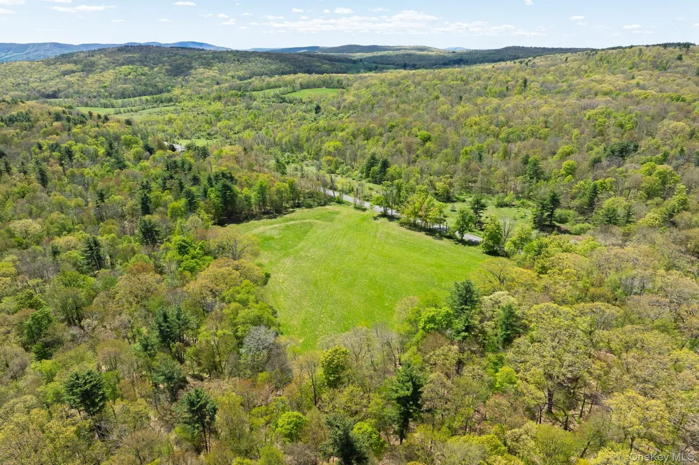 0 County Route 21 Hillsdale, NY 12529