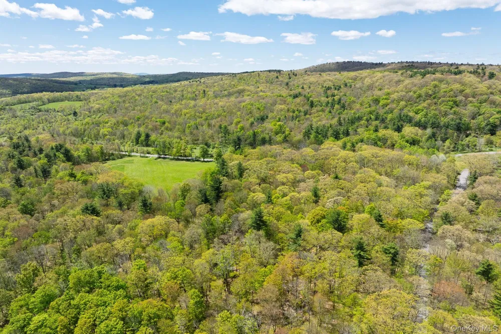 0 County Route 21 Hillsdale, NY 12529