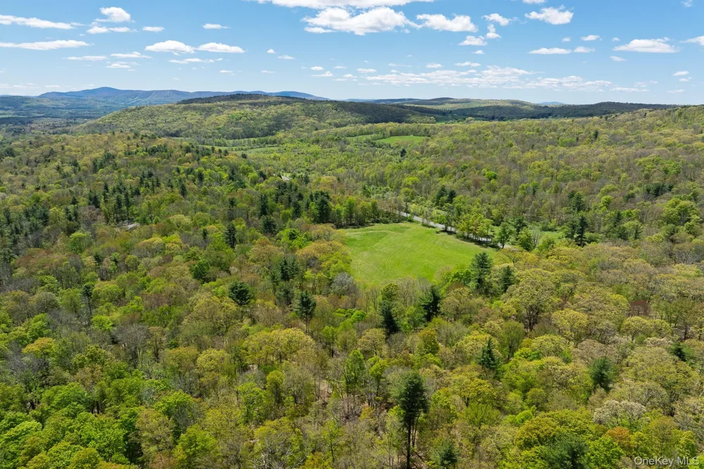 0 County Route 21 Hillsdale, NY 12529