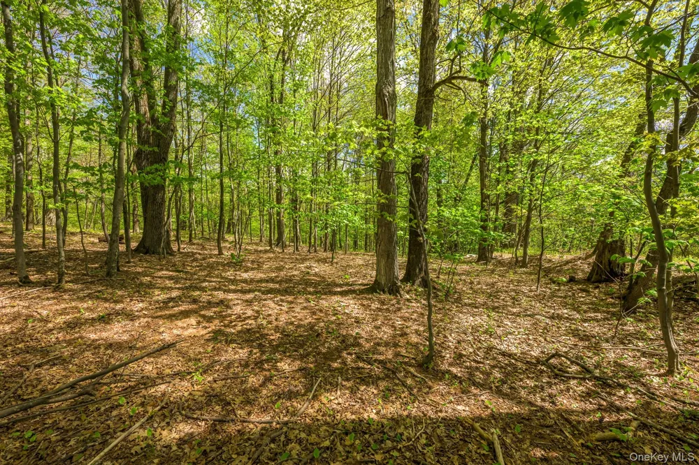 0 County Route 21 Hillsdale, NY 12529