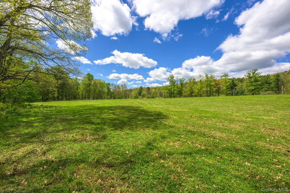 0 County Route 21 Hillsdale, NY 12529