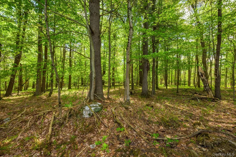 0 County Route 21 Hillsdale, NY 12529