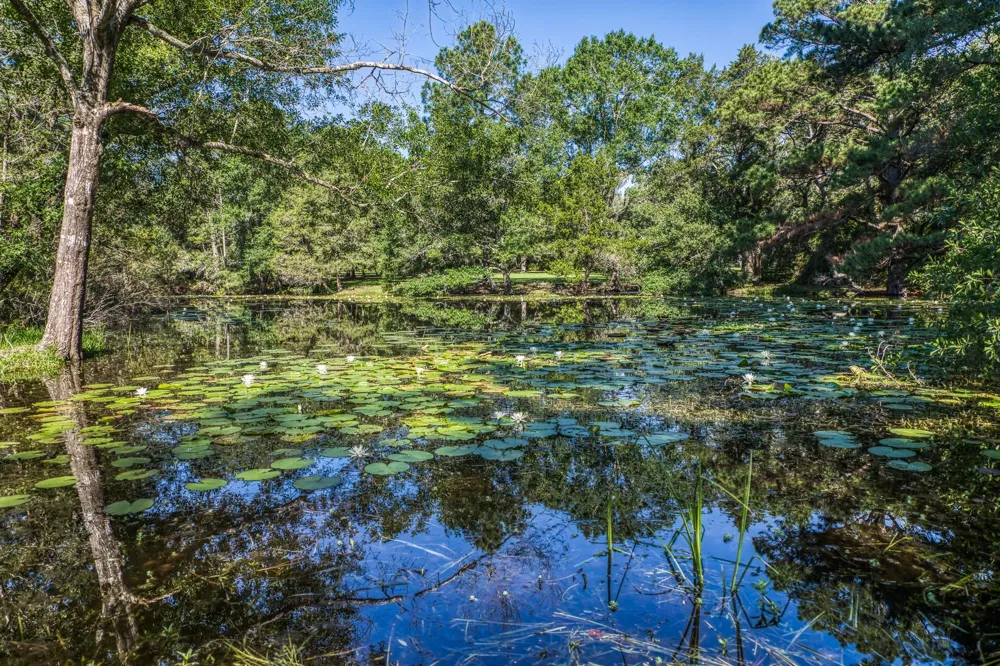 1017 Allen Road Cat Spring, TX 78933