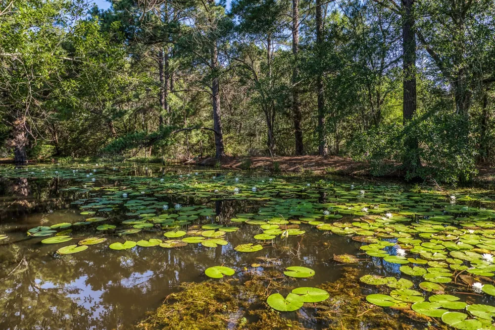 1017 Allen Road Cat Spring, TX 78933