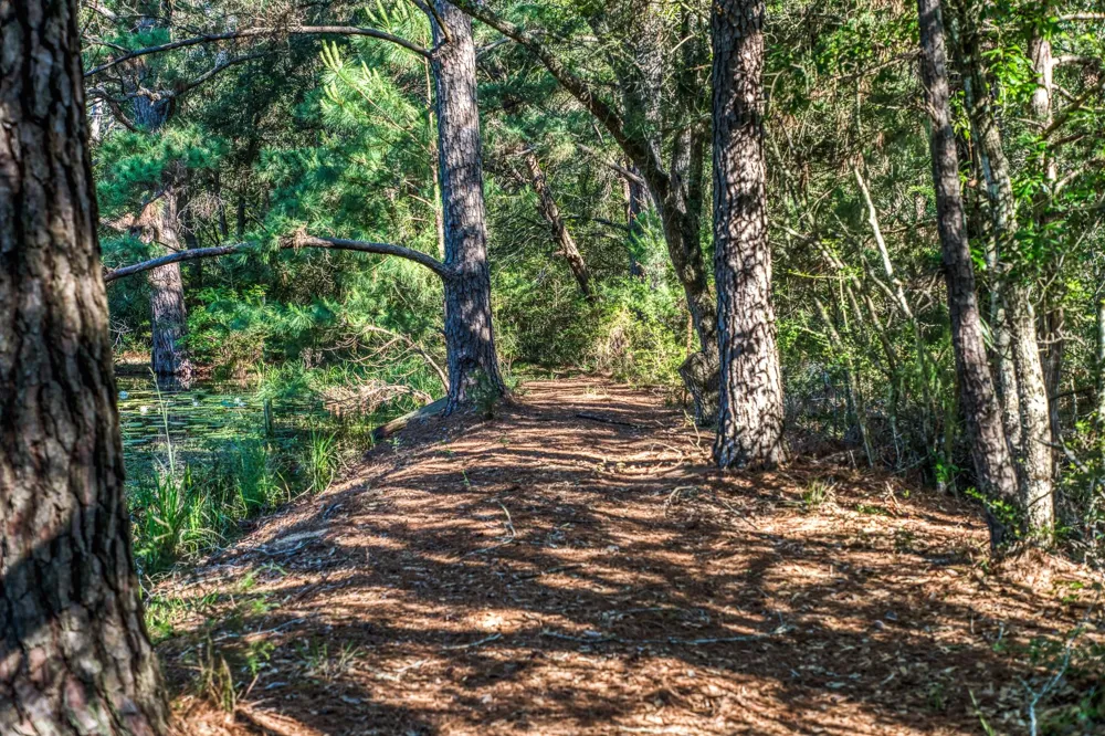 1017 Allen Road Cat Spring, TX 78933
