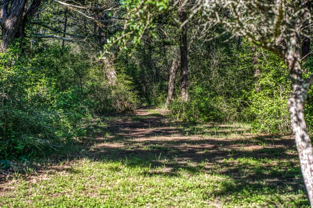 1017 Allen Road Cat Spring, TX 78933