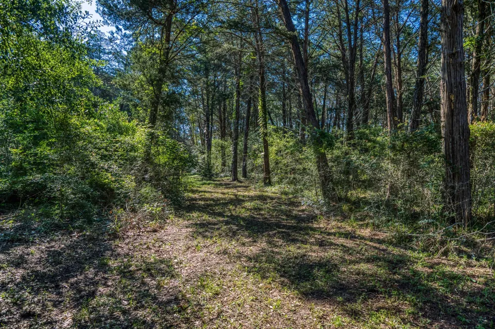 1017 Allen Road Cat Spring, TX 78933
