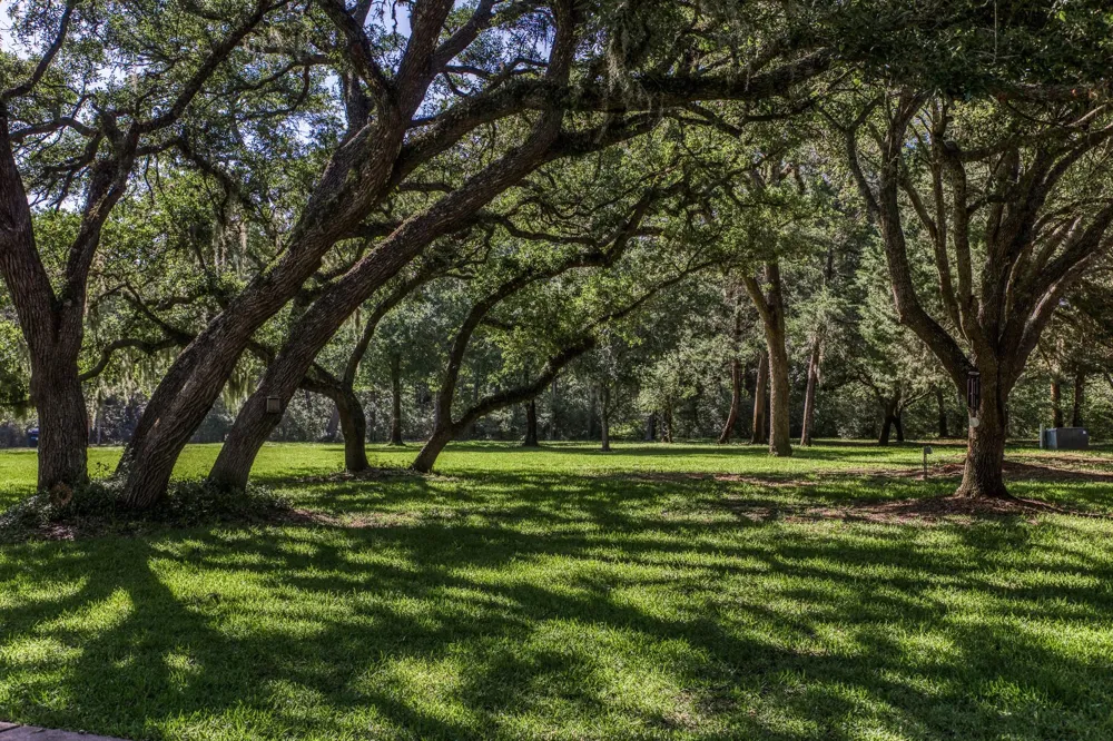 1017 Allen Road Cat Spring, TX 78933