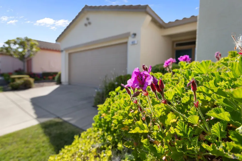 403 Bay Oaks Way Rio Vista, CA 94571