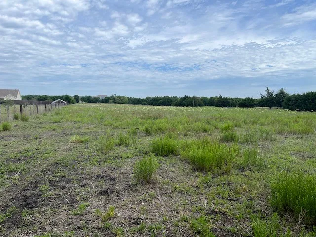 706 Prince Lane Fate, TX 75087