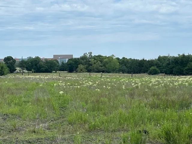 706 Prince Lane Fate, TX 75087