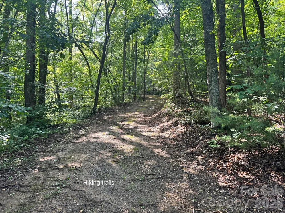 584 Clear Spring Trail #61 Nebo, NC 28761
