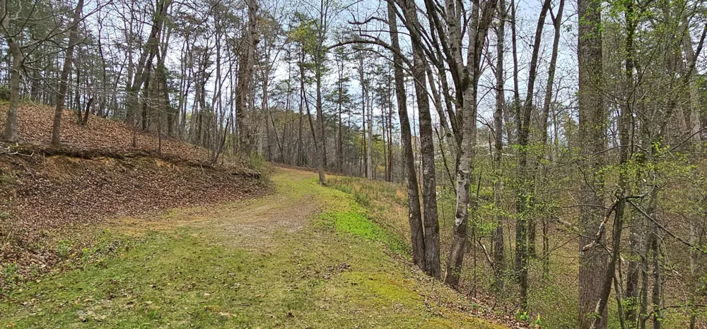 6870 Tennessee 360 Tellico Plains, TN 37385