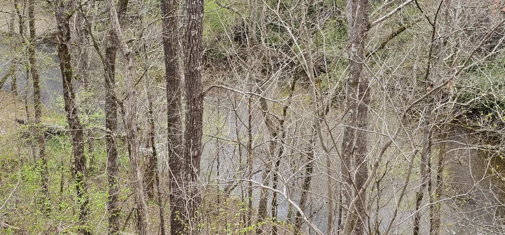 6870 Tennessee 360 Tellico Plains, TN 37385