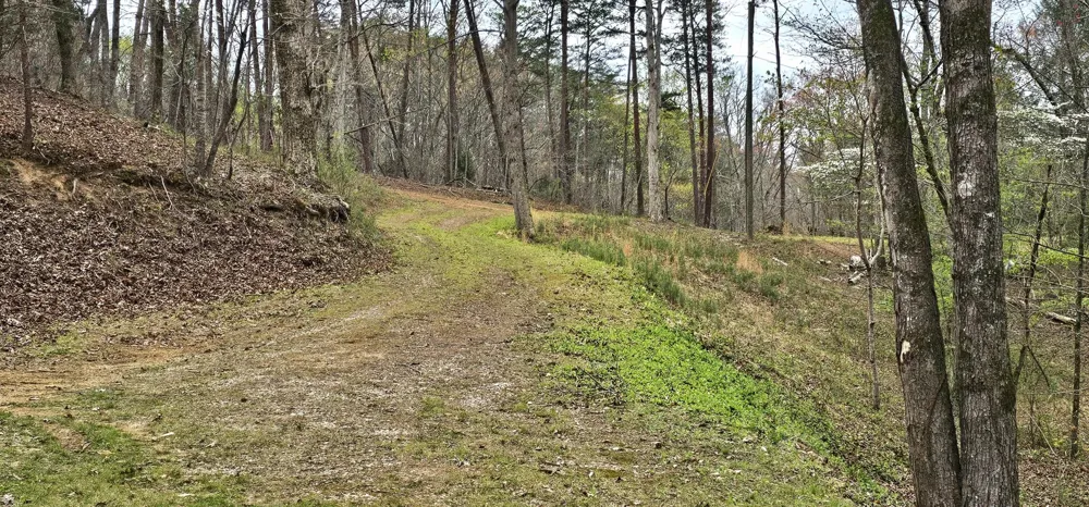 6870 Tennessee 360 Tellico Plains, TN 37385